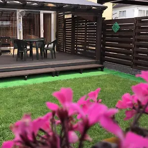 モモ 帯広市